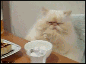 1344847081454652.gif
