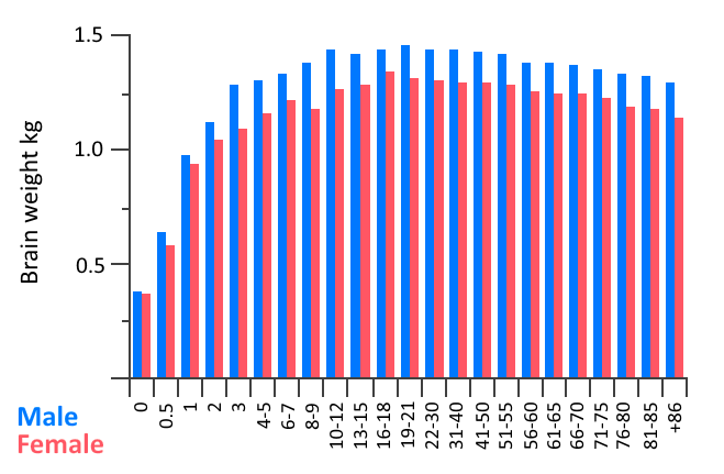 1606306481397.png
