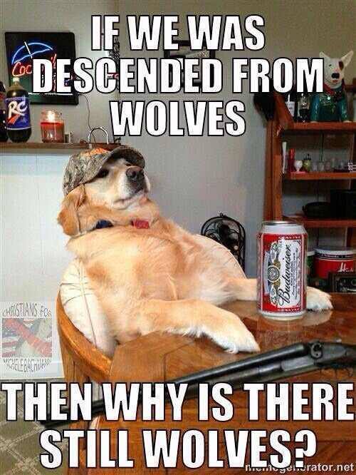 1617724824948.jpeg