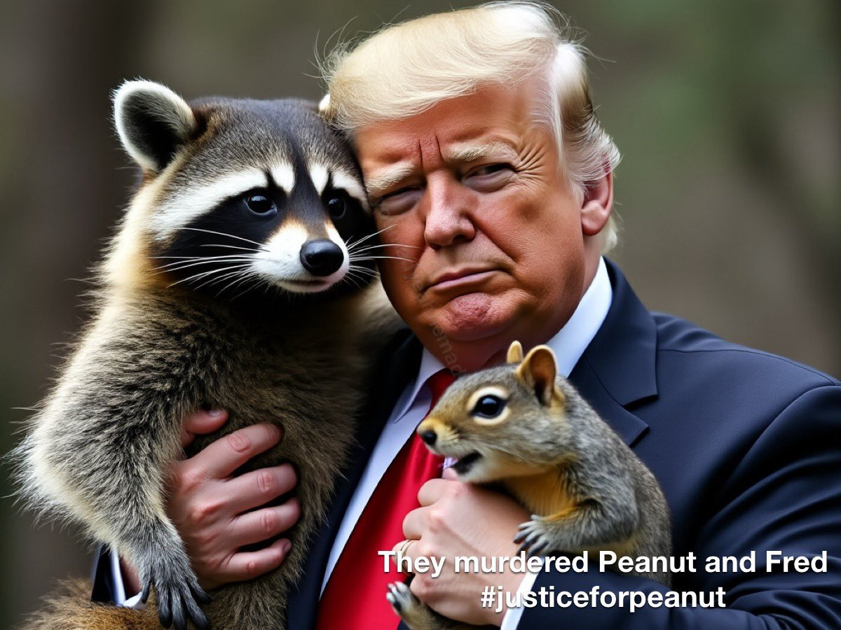 1730568327437.png