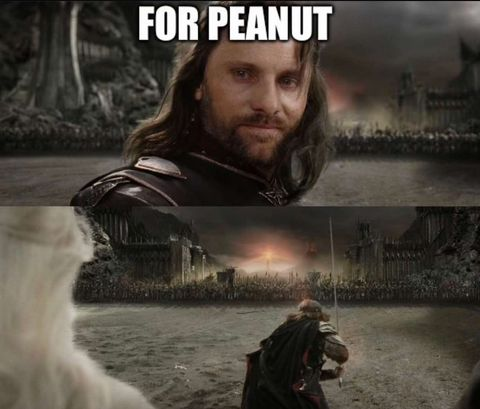 1730656608574.png