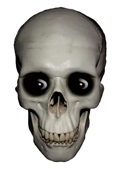 1745030987325.webp