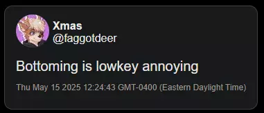 1748078598962.webp