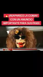 1758286025161.webp