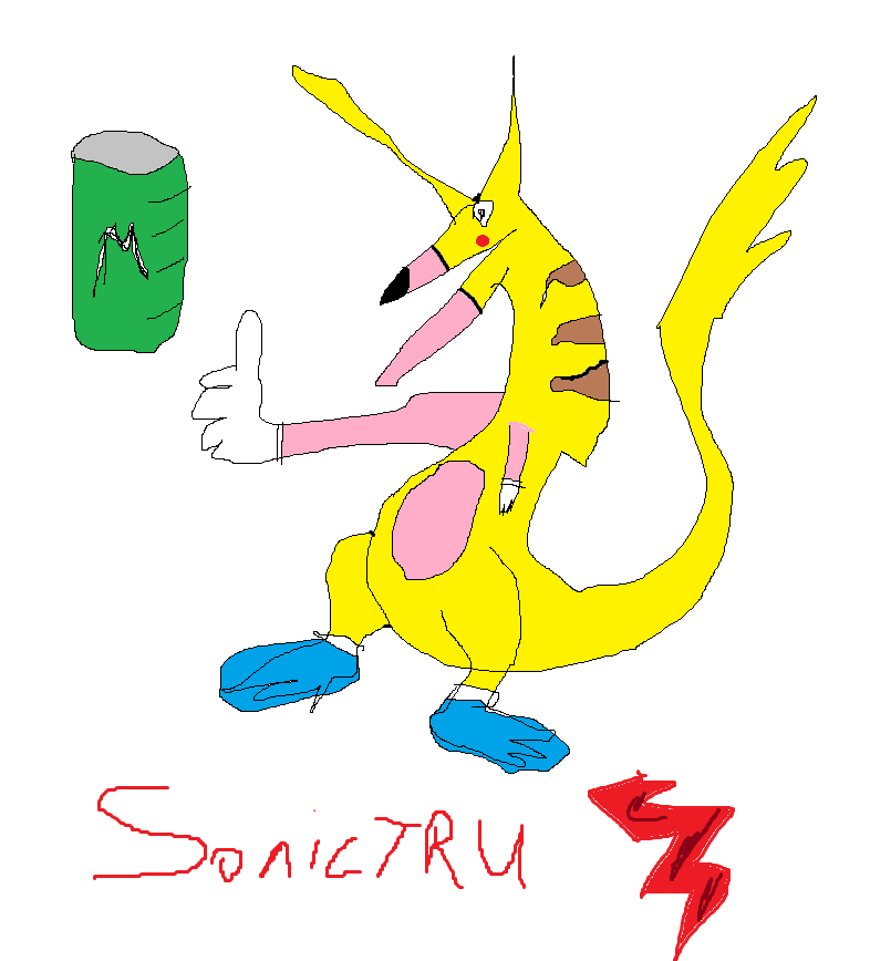 1sonictru.png