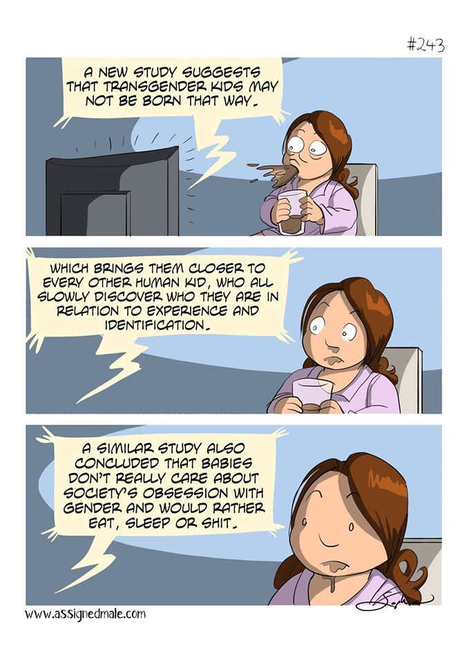 243.jpg