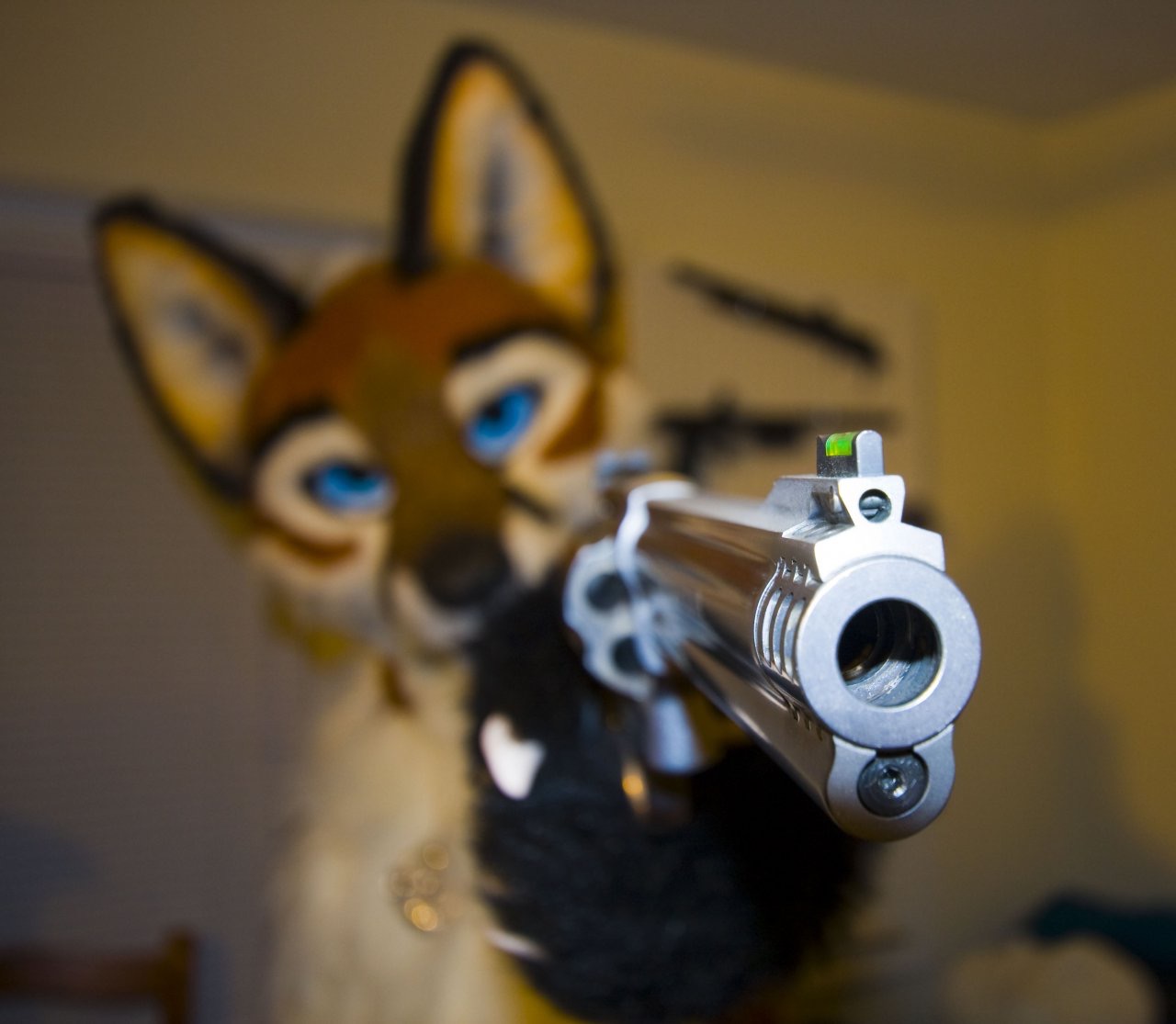 2dpsw0.jpg