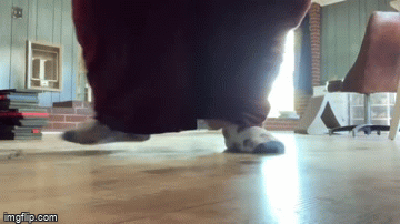 411upa.gif