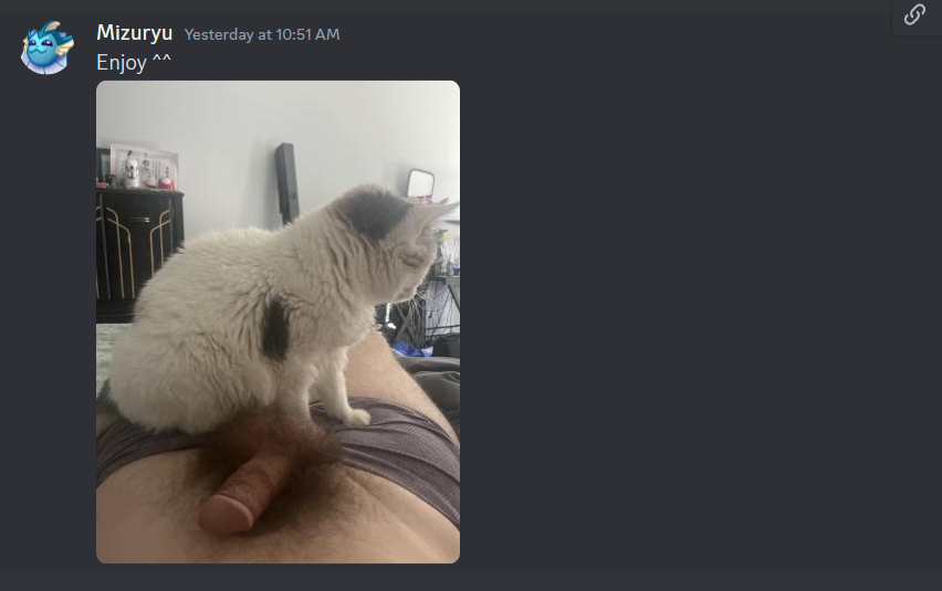 4444444.png