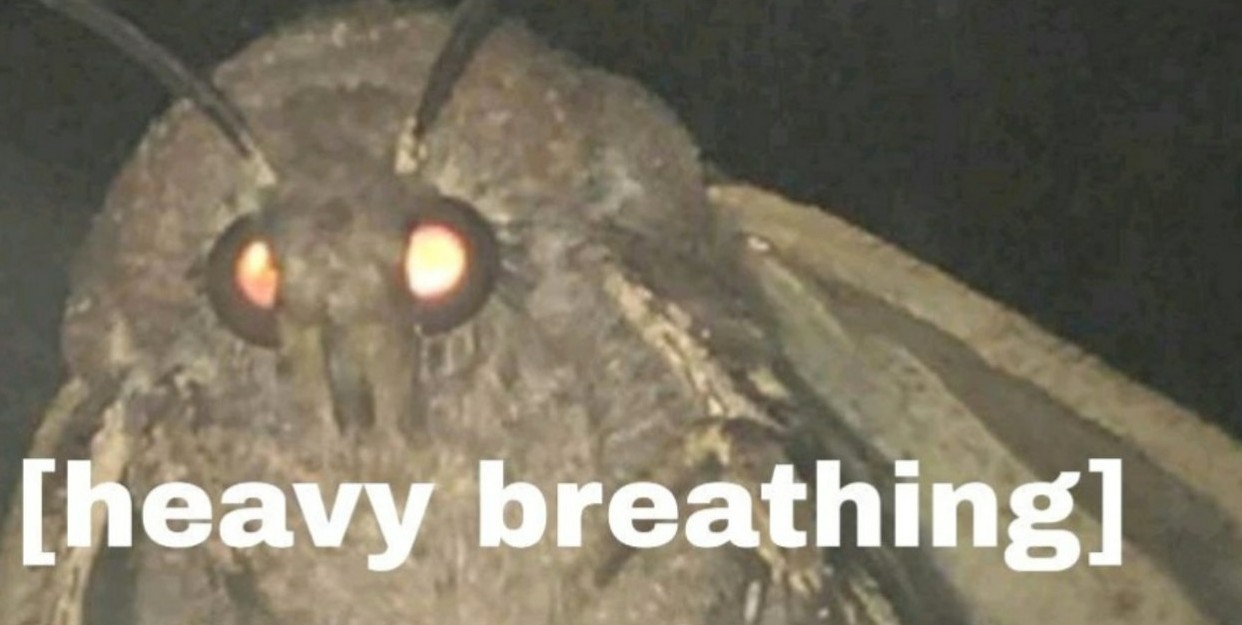 5baf14b4d7e5f.jpeg