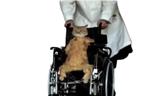 5k2d04.png