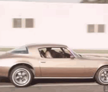 7qaX.gif