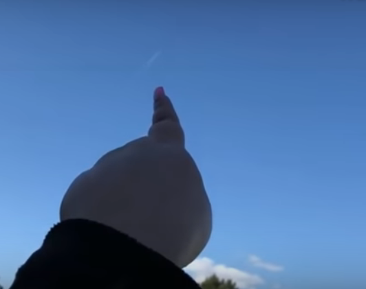 AMYVLOGS.png