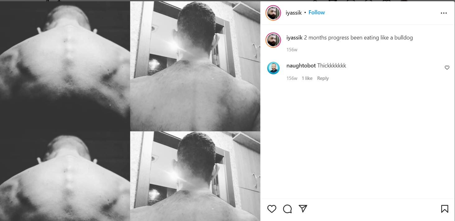 back.jpg