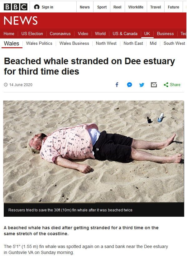 beached1.png