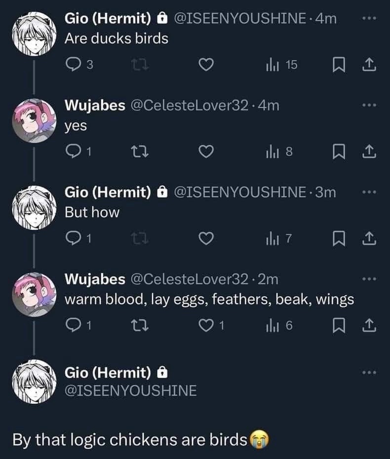 birbs.jpg