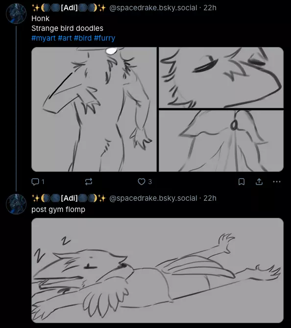 birds.webp