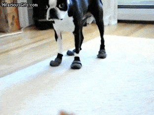 C0M2EyB.gif