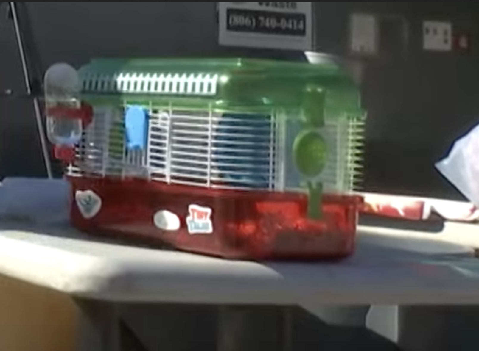cage 3.png