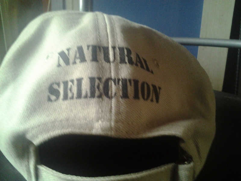 cap_210.jpg