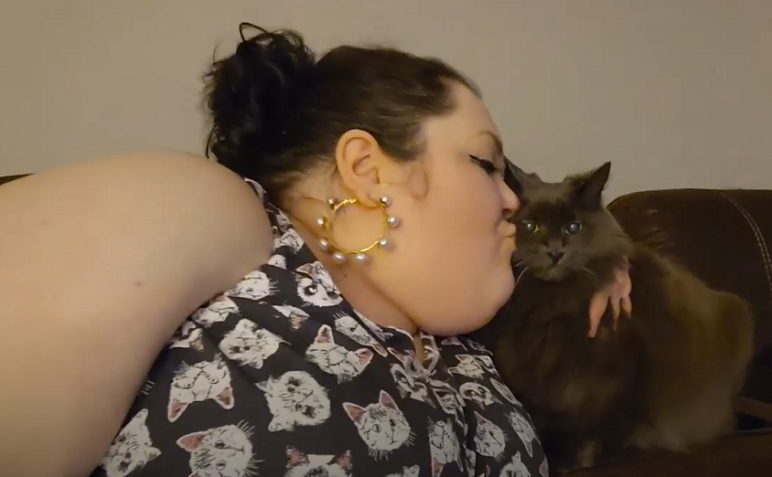 cat3.png