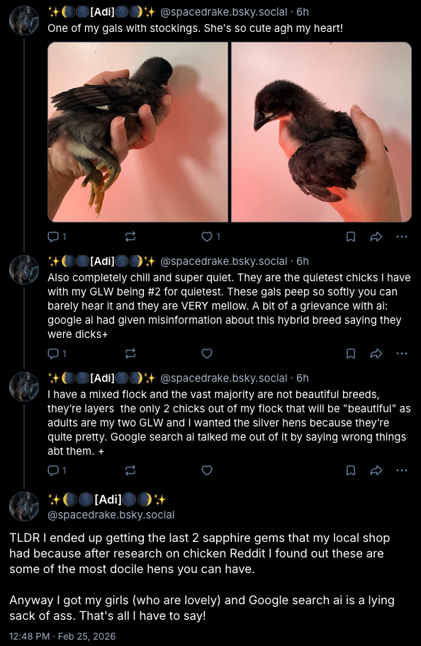 chickens.png