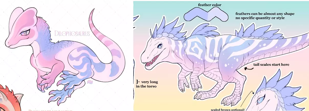 comparison.webp