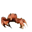 dancing crab.gif