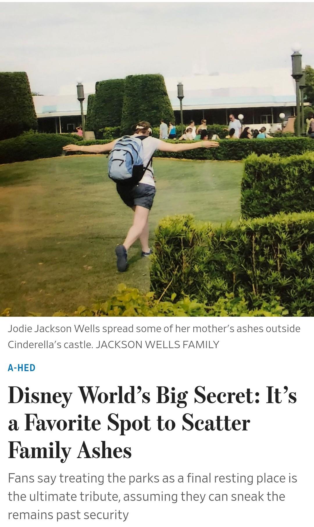 disney ashes.jpeg