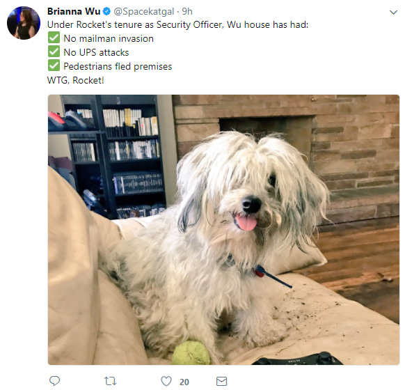 dog.jpg