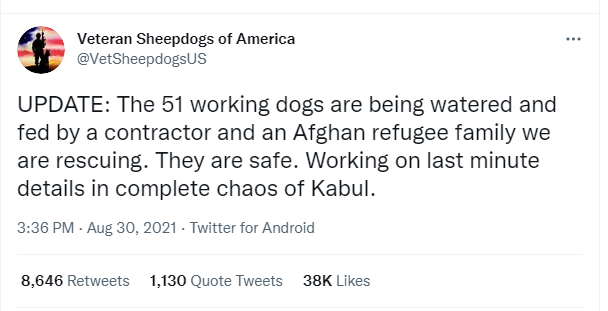 dogs.PNG