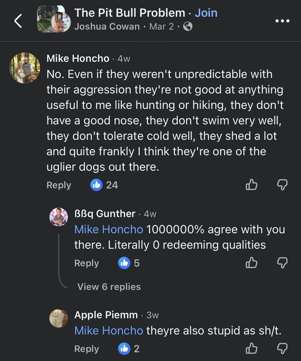 dumb shit.png