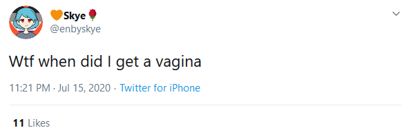 enbyskye4.png