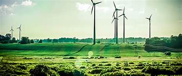 enviroment.jpg
