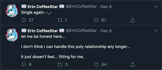 erinsean-poly2.png