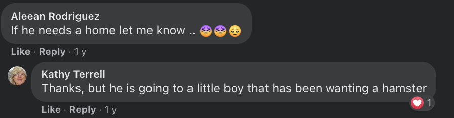 facebook 2.png