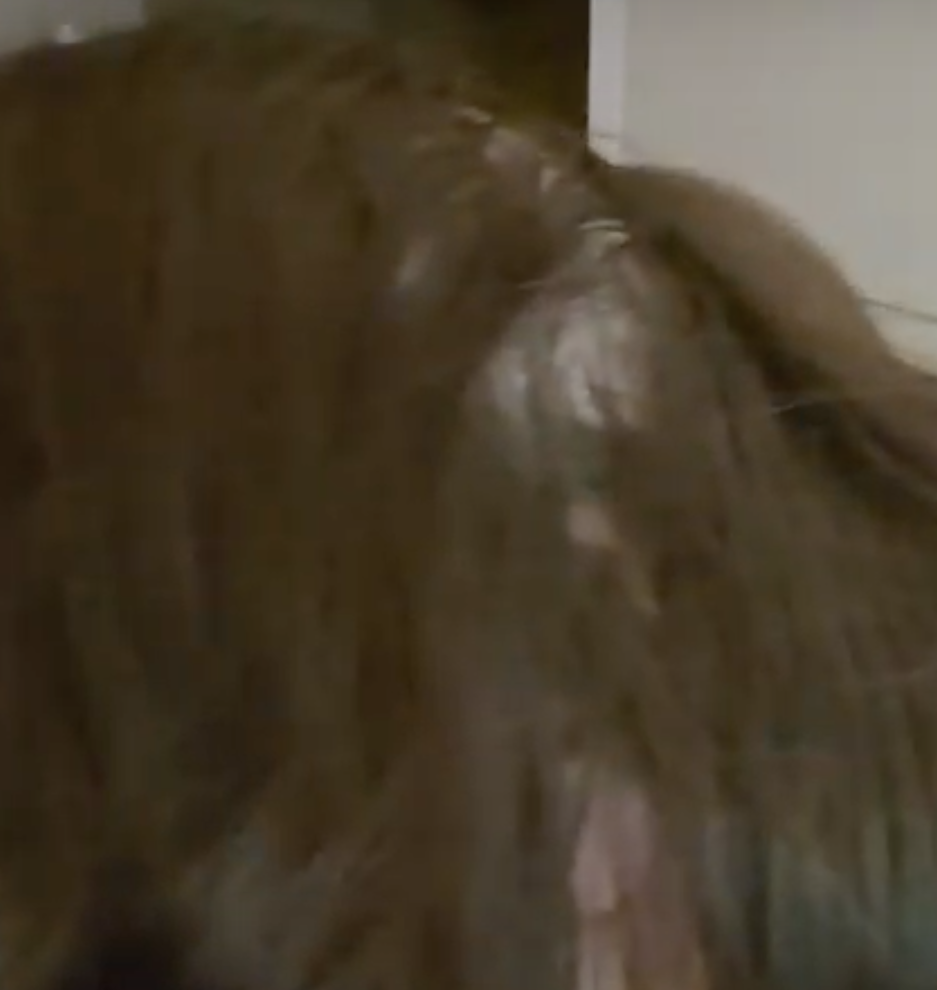 fadfasf.png