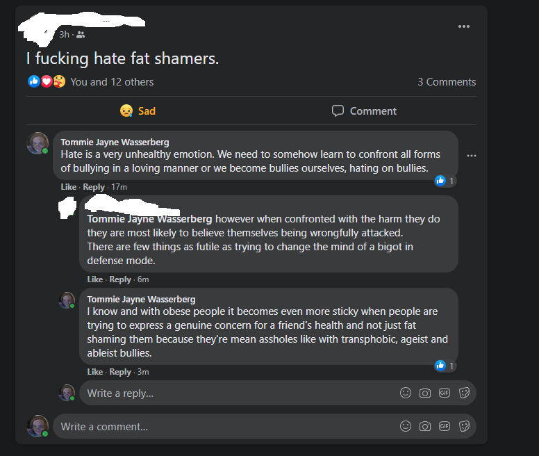 fat shaming.PNG