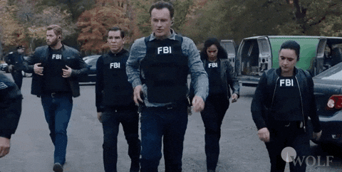 feds.gif