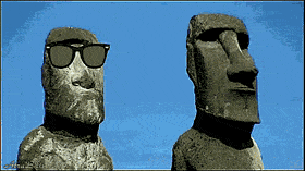 FirmCoarseBeetle-max-1mb.gif