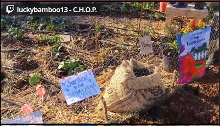 garden.png