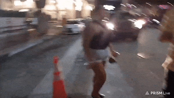 gorilla attack.gif