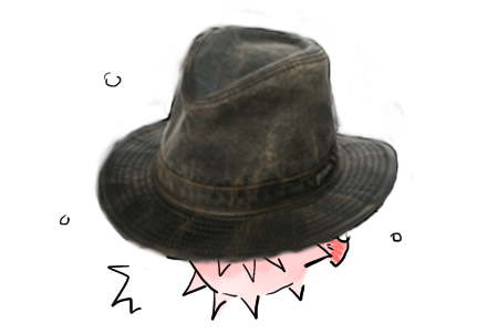 hat.png