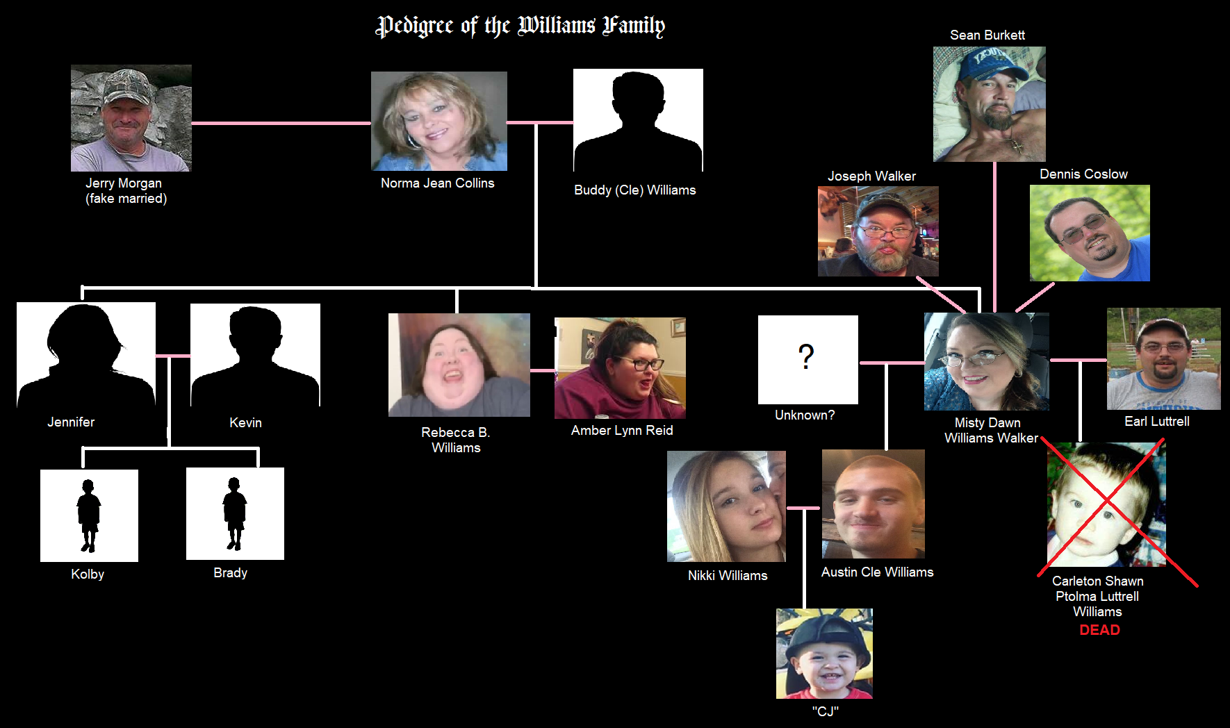Hillbilly Tree.png