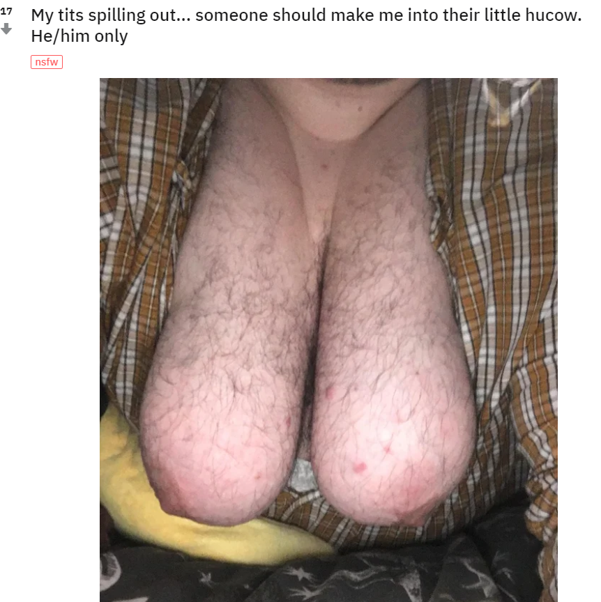 hucow.png