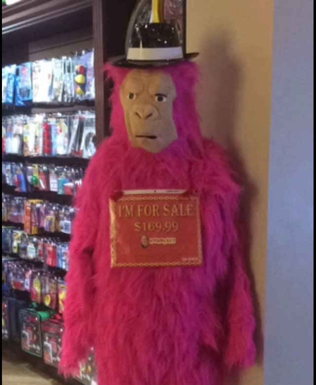image.jpeg