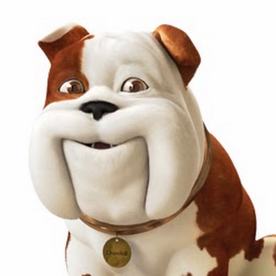 image.jpg