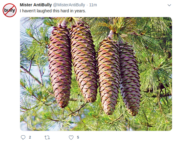 jim_pinecones.png