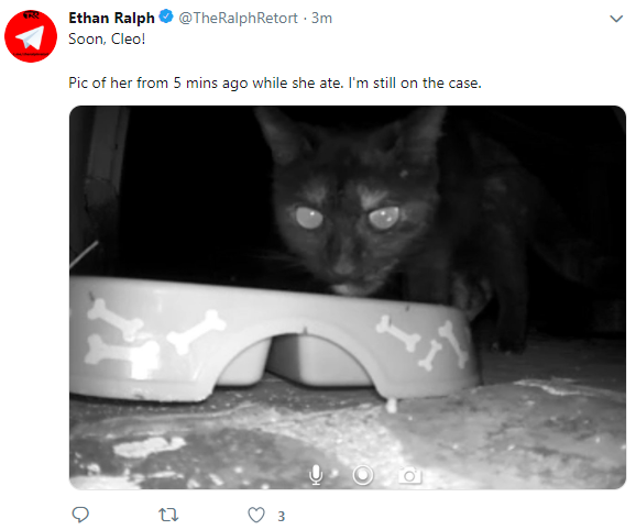 katisstillgone.png