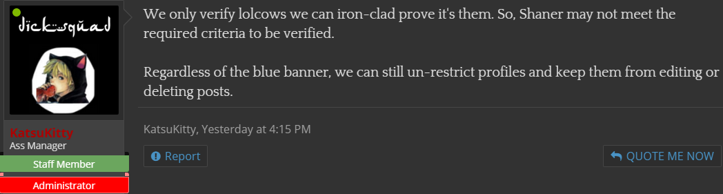 katsu2.PNG
